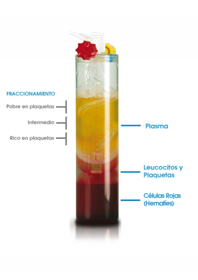 Factores de crecimiento