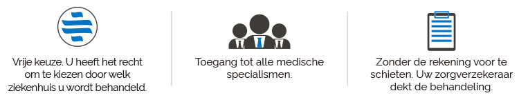 nederlandse zorgverzekeraars